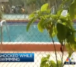 3 Children ‘Shocked’ in Hialeah Swimming Pool