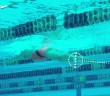 Jessica Hardy | Breaststroke Kick – Swim Technique