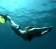 Turkish freediver Åžahika ErcÃ¼men breaks world record