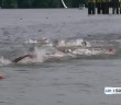 Live Stream from the Berlin 2014 European Open Water Swimming Championships