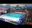2012 FINA/Arena Swimming World Cup season summary