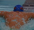 2013-2014 Florida Swimming and Diving Intro Video