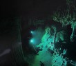 Behold cave explorers dive into Ox Bel Ha