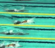 Japan Swim: Irie impresses (again) in the 200 back