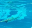 Markus Rogan to help Austrian swim federation amid crisis