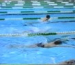 Swimming technique drills by SÃ¡ndor SzÃ©les