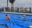 Tarp Race between Nathan Adrian and Tyler Clary