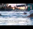 Sun Yang â€“ The swimmer â€“  Chinese Documentary (with English subtitles)