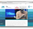 The Fina Windsor 2016 Website Has Launched