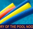 The Amazing Story of Pool Noodle Toys | 1001 THINGS
