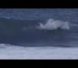 Dolphin Jumps on to Surfer Jed Gradisen at Kalbarri