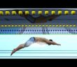 Competitive swimming – AFP Videographic