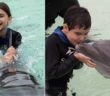 Children’s Hospital Patients Swim with Dolphins to Leave Worries Behind
