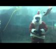 Santa to swim with the penguins at the Kansas City Zoo