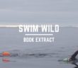 SWIM WILD â€“ Book Extract