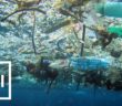 Diver Films Himself Swimming in Trash