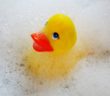 Drop that rubber ducky! Dirty secrets swimming inside bath-time toy, study shows