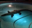 11-Foot-Long Alligator Bursts Through Screen to Swim in Family’s Enclosed Pool