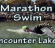 Encounter Lakes Marathon Swim
