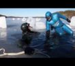 Freediver Ant Williams: Why I want to dive 70 metres below ice