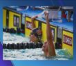 Olympic Gold Medal Swimmer To Swim In Clovis