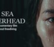 Sea Overhead. Documentary film about first freediving experience