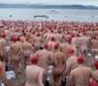 Record-breaking numbers strip off for Dark Mofo nude swim