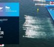 Open Water – Women 5km | Top Moments | FINA World Championships 2019 – Gwangju