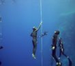 Saudi free diving champion drowns in Red Sea