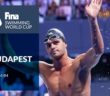 Budapest #SWC19 FINA Swimming World Cup 2019 | Day 2