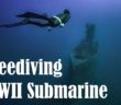 First Freedivers Visit â€˜Great Escapeâ€™ Sub