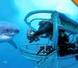 Shark Cage Submarine for Great Whites!