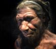 The Aquatic Neanderthal: They Could Swim and Dive for Clams