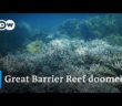 Can the world’s warming oceans be saved? | DW News