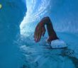 Daredevil Swimmer Becomes First Person To Swim Under Antarctic Ice Sheet Only Wearing Swim Trunks