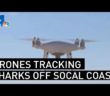 Drones Track Sharks Off SoCal Coast | NBCLA