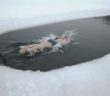 Ice, Ice Baby: Kazakh Boy Raised To Become Winter Swimming Ace