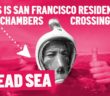 San Francisco Womanâ€™s Historic Swim Across the Dead Sea