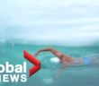 Swimmer plunges through Antarctica’s waters for climate change awareness