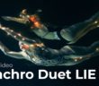 Synchronised Swimming Duet Liechtenstein | Promotion Video