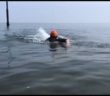 How and Why to Sight in Open Water Swimming