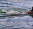 Olympic hopeful swims to bring awareness of water pollution