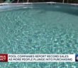 Record sales of swimming pools reported