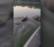 Swimming bear rescued from Wisconsin lake