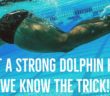 Want a Strong Dolphin Kick? (We Know the Trick)