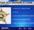 11-year-old girl drowns in Tippecanoe County