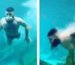 Gentleman busted for swimming in zoo aquarium