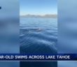 13-year-old boy becomes youngest person to complete ‘Godfather’ swim across Lake Tahoe