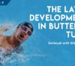 The latest developments in butterfly turns with Stefano Nurra | Azura Florida Aquatics