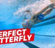 How to Swim Butterfly with Perfect Technique | MySwimPro